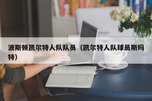 波斯顿凯尔特人队队员（凯尔特人队球员斯玛特）