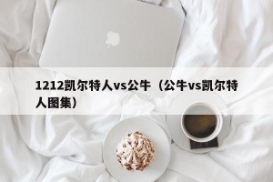1212凯尔特人vs公牛（公牛vs凯尔特人图集）