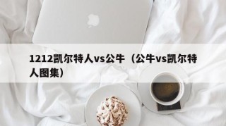 1212凯尔特人vs公牛（公牛vs凯尔特人图集）